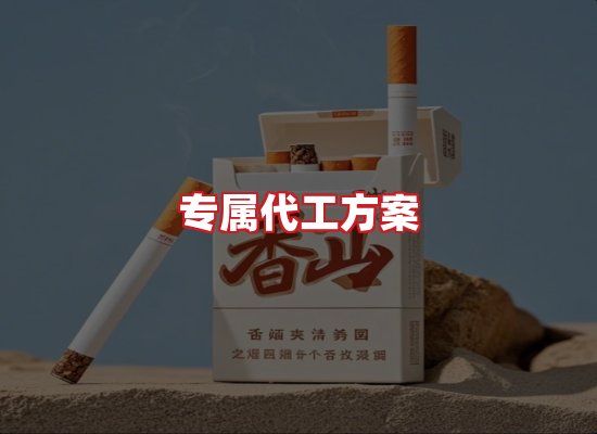 专业团队